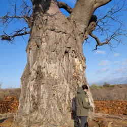 Tuli Block - Mathathane