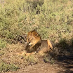 Tuli Block - Mathathane