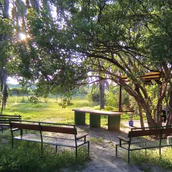 Okavango Delta - Maun