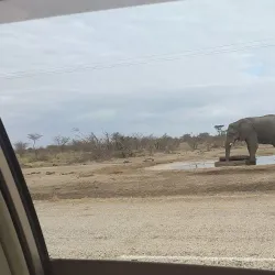 Okavango Delta - Maun