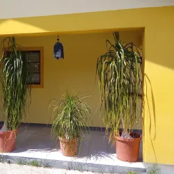 Okavango Delta - Maun