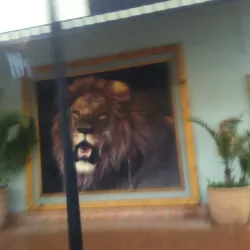 Okavango Delta - Maun