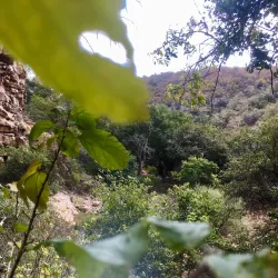 Tswapong Hills - Palapye