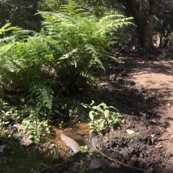 Tswapong Hills - Palapye