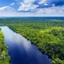 Amazon Rainforest Surroundings - Abunã