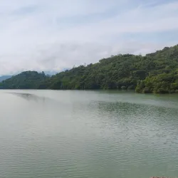 Amazon Rainforest Surroundings - Abunã