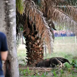Ecotourism and Adventure Tours - Abunã