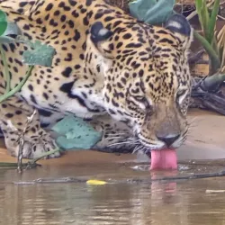 Ecotourism and Adventure Tours - Abunã