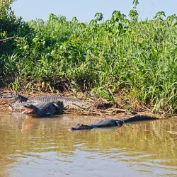 Ecotourism and Adventure Tours - Abunã