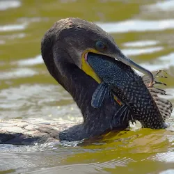 Ecotourism and Adventure Tours - Abunã