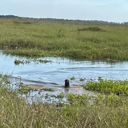 Ecotourism and Adventure Tours - Abunã