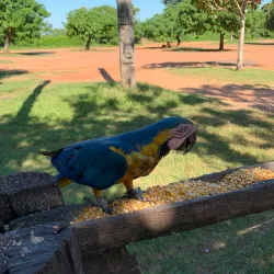 Ecotourism and Adventure Tours - Abunã