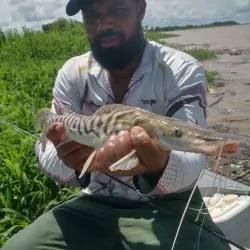 Fishing Activities - Abunã