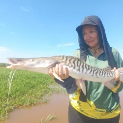 Fishing Activities - Abunã