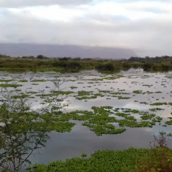 Acaraú River - Acaraú