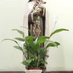 Igreja Matriz de Santo Antônio - Alagoinhas