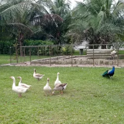 Parque Natural Municipal - Alagoinhas