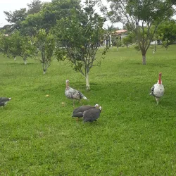 Parque Natural Municipal - Alagoinhas