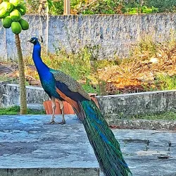 Parque Natural Municipal - Alagoinhas