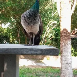 Parque Natural Municipal - Alagoinhas