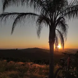 Café Cultural Alfenas - Alfenas