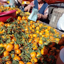 Feira Livre de Alfenas - Alfenas
