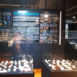 Museu Histórico Municipal de Alfenas - Alfenas