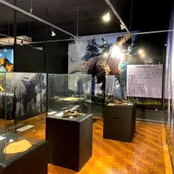 Museu Histórico Municipal de Alfenas - Alfenas