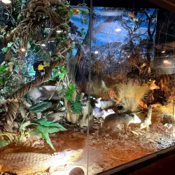 Museu Histórico Municipal de Alfenas - Alfenas