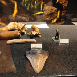 Museu Histórico Municipal de Alfenas - Alfenas