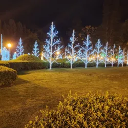 Parque José Affonso Junqueira - Alfenas