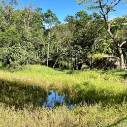 Parque Natural Municipal da Serra do Brigadeiro - Alfenas