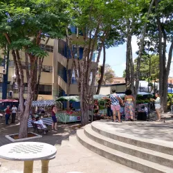 Universidade Federal de Alfenas (UNIFAL) - Alfenas