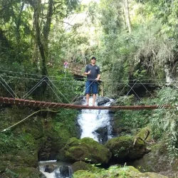 Altamira do Paraná Municipal Park - Altamira do Paraná