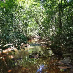 Altamira do Paraná Municipal Park - Altamira do Paraná