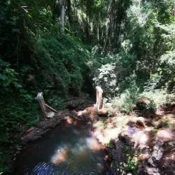 Altamira do Paraná Municipal Park - Altamira do Paraná