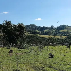 Capela Nossa Senhora Aparecida - Altamira do Paraná