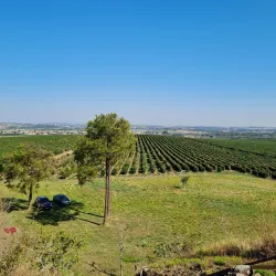 Local Farms and Rural Tourism - Altamira do Paraná