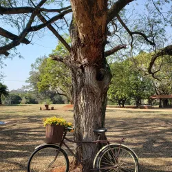 Local Farms and Rural Tourism - Altamira do Paraná