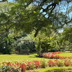 Local Farms and Rural Tourism - Altamira do Paraná