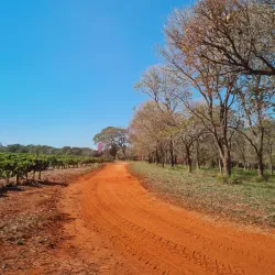 Local Farms and Rural Tourism - Altamira do Paraná