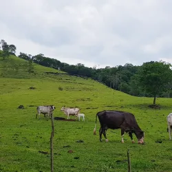 Praça Central de Altamira do Paraná - Altamira do Paraná