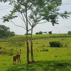 Praça Central de Altamira do Paraná - Altamira do Paraná