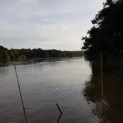 Rio Ivaí - Altamira do Paraná