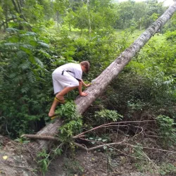 Rio Ivaí - Altamira do Paraná