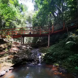Trilhas Ecológicas (Ecological Trails) - Altamira do Paraná