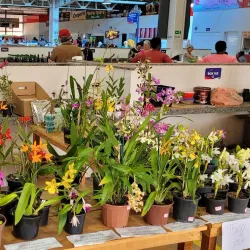 Feira Livre de Andradina - Andradina