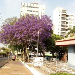 Praça Central de Andradina - Andradina