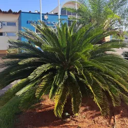 Teatro Municipal de Andradina - Andradina