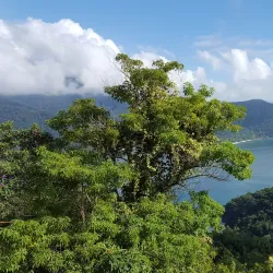Parque Estadual da Ilha Grande - Angra dos Reis